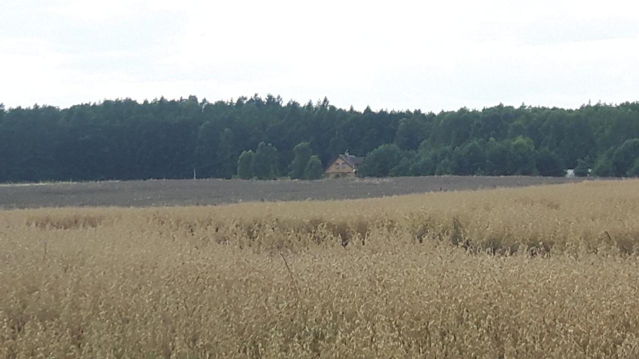 Winnica Debogora Dobiegniew Экстерьер фото
